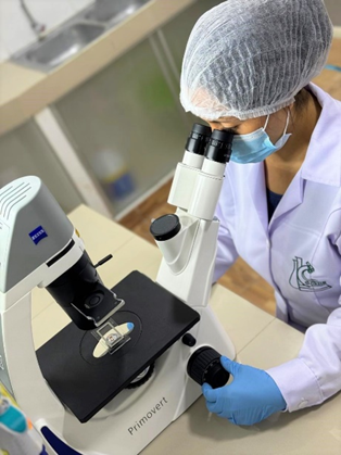 AREA MICROBIOLOGIA COLLECT 2
